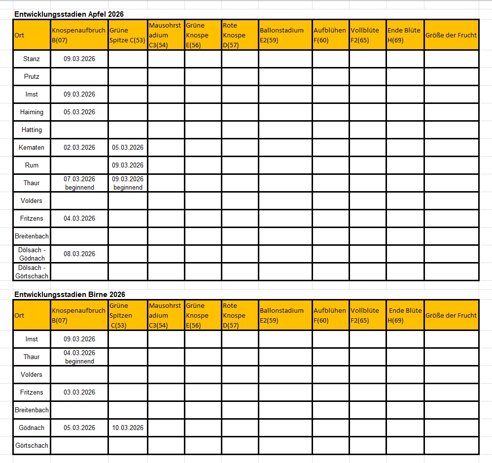 2026 Entwicklungsstadien.jpg